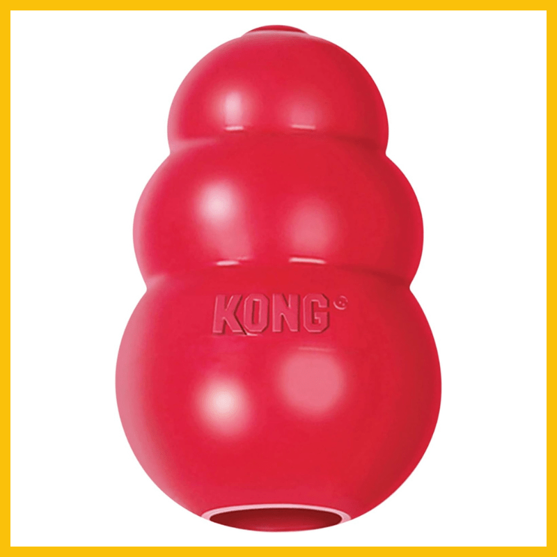 Kong for treats for dogs