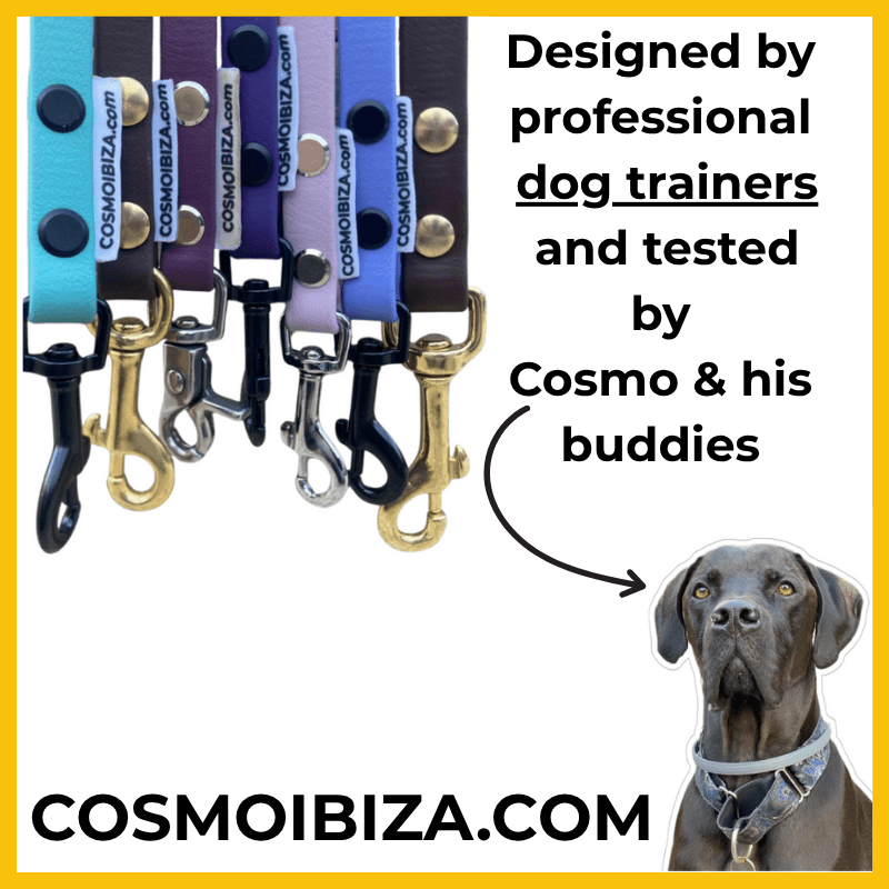 Professional dog leads