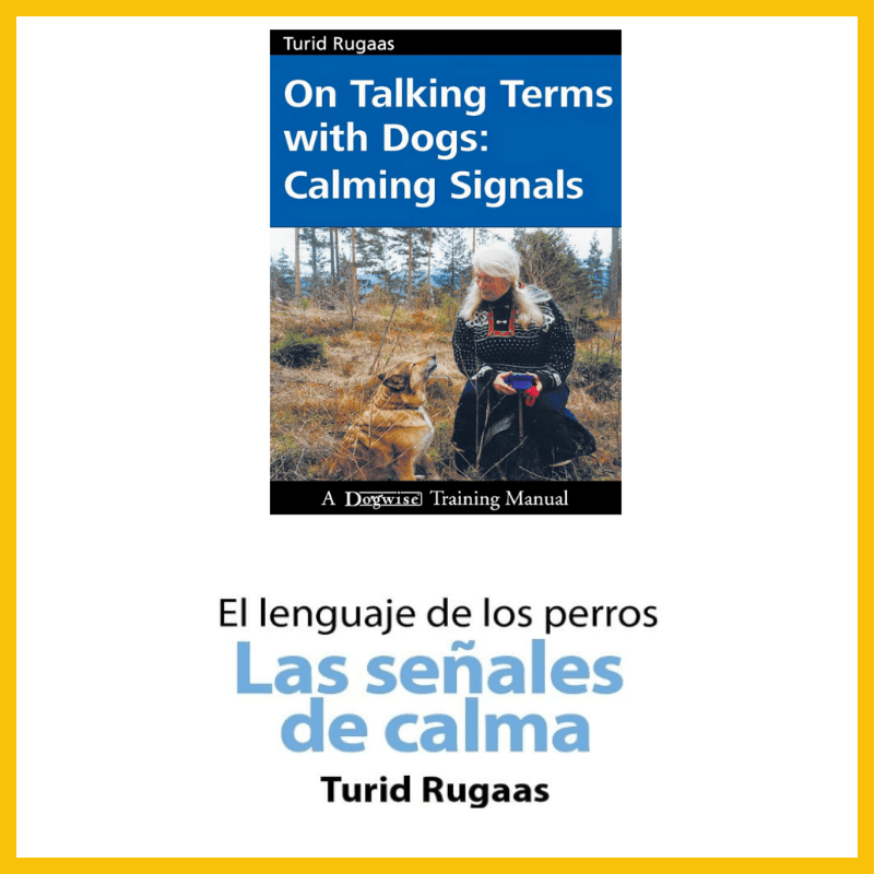 On talking terms with dogs: calming signals